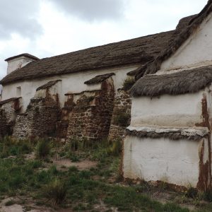 P6 F1 NOTA UNICA SUAERZ