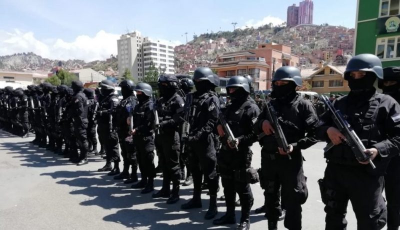 F ÚNICA 2019120311353348916