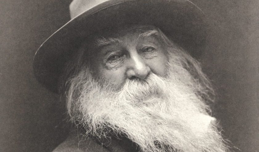 F2 dosier-woolf-1900-1654x2048