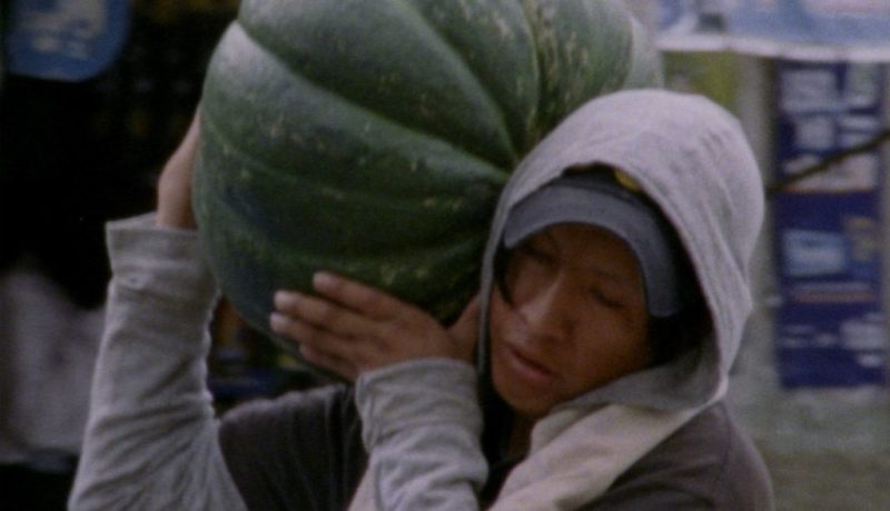 El gran movimiento zapallo