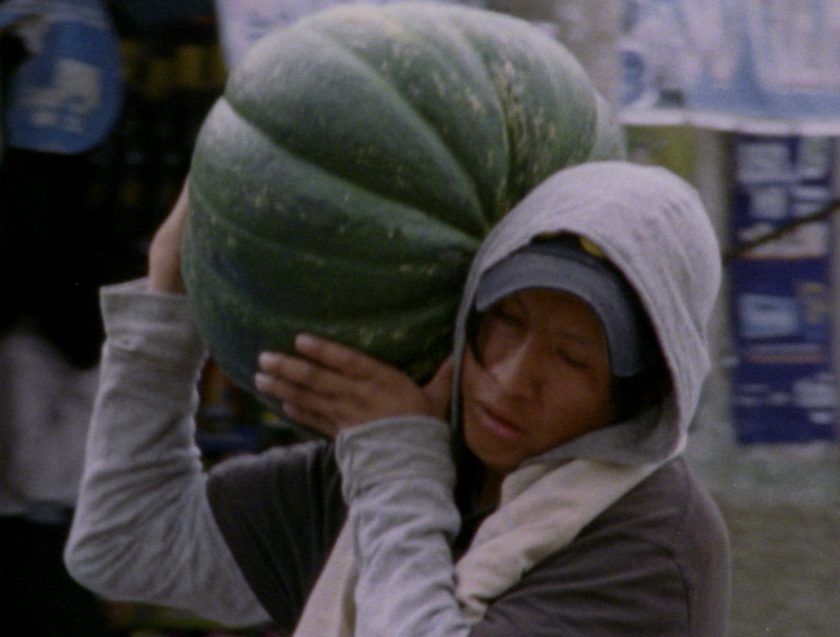 El gran movimiento zapallo