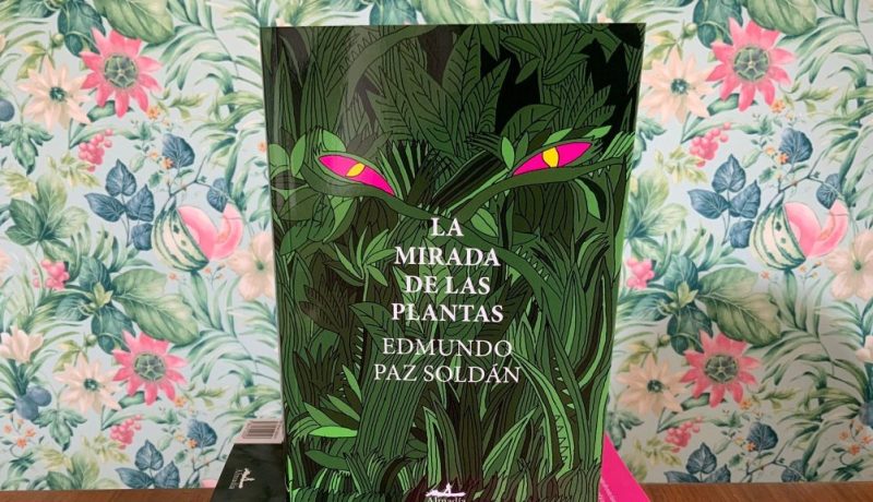 La mirada de las plantas horizontal