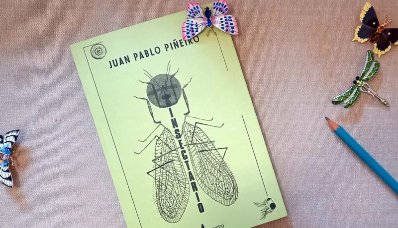 Insectario libro horizontal