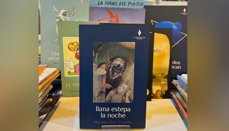 llana estepa poemario