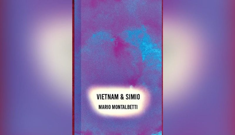 Vietnam simio tapa libro