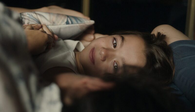 20.000 especies de abejas