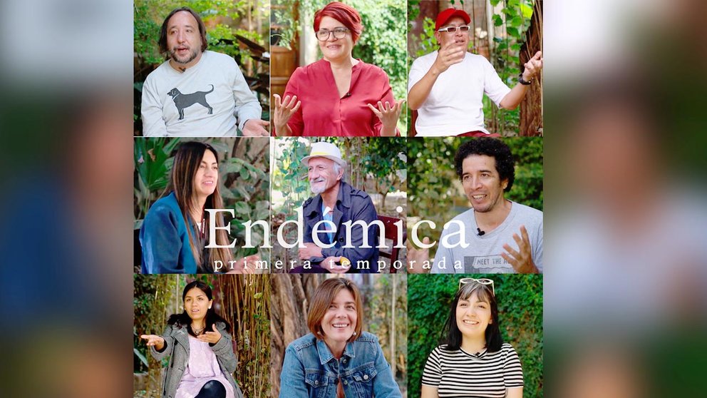 Endemica charlas escritores