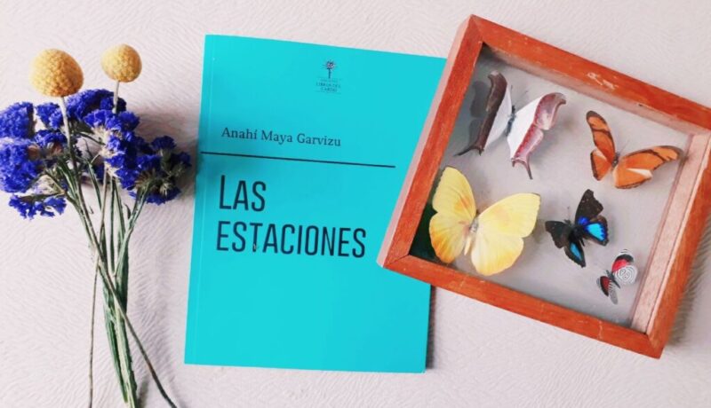 Las estaciones libro