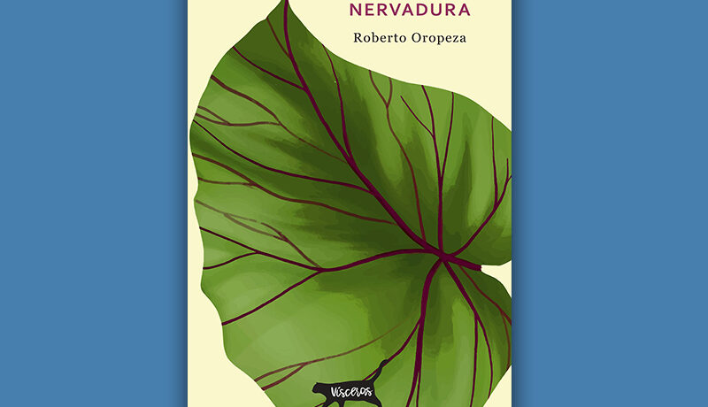 Nervadura libro foto