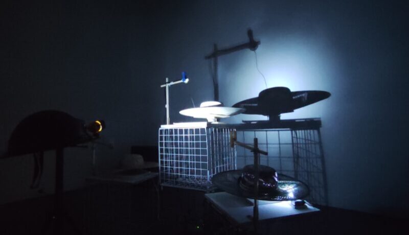 Dar vueltas exposición