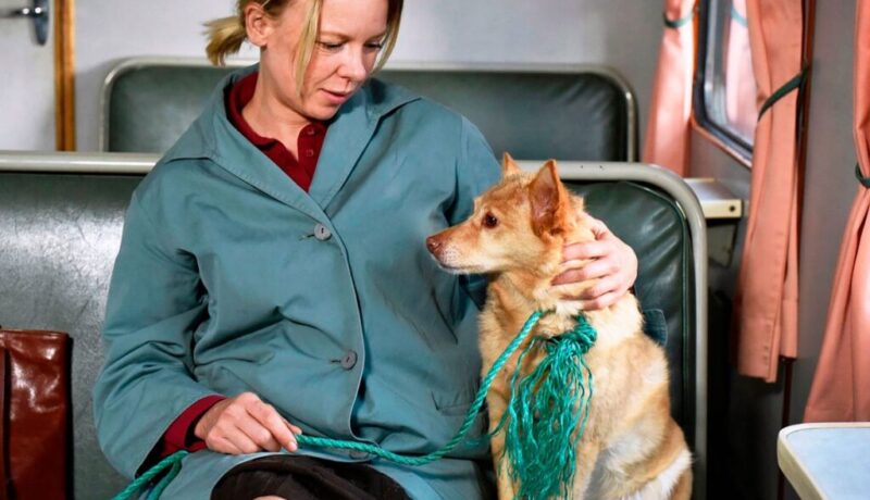 Foto 1 Hojas de otoño