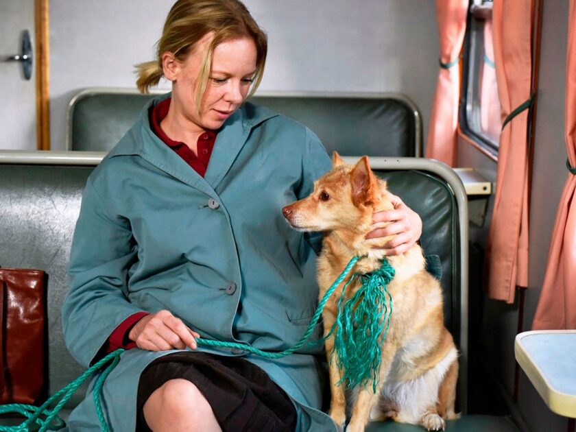 Foto 1 Hojas de otoño