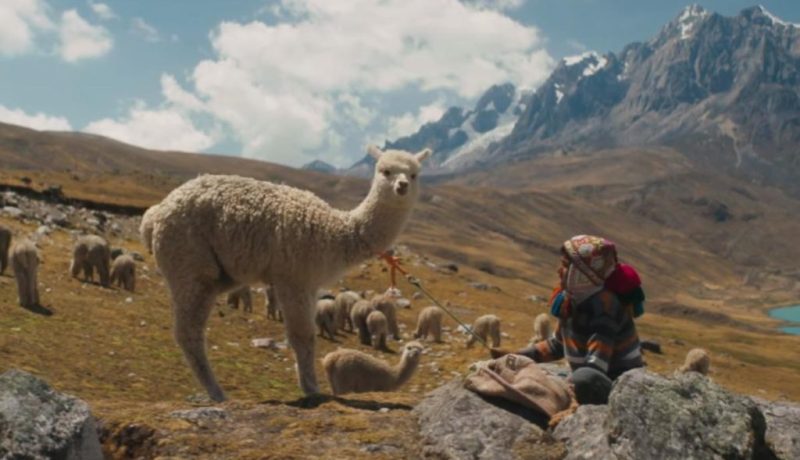 Raíz pelicula peruana