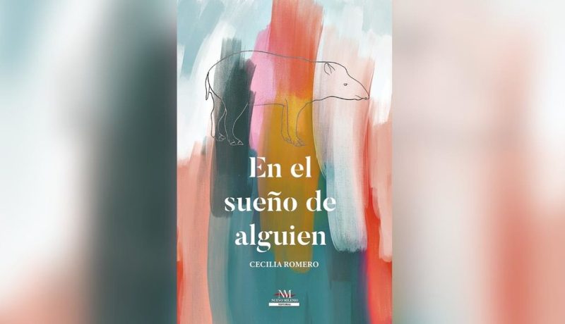 El sueño de alguien libro horizontal