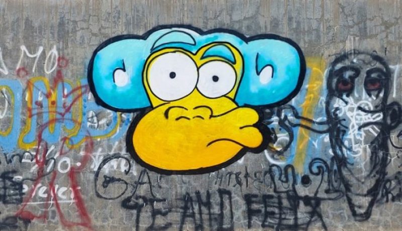 Monky foto columna Ramona