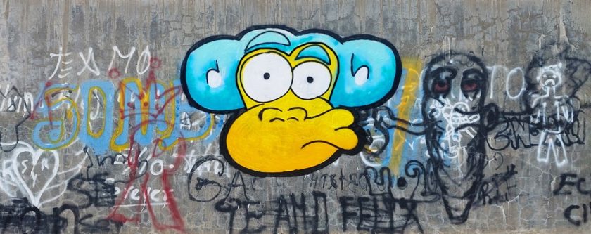 Monky foto columna Ramona