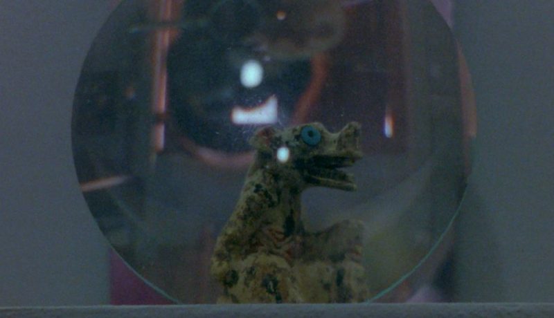 Corto Luciana Decker foto pieza