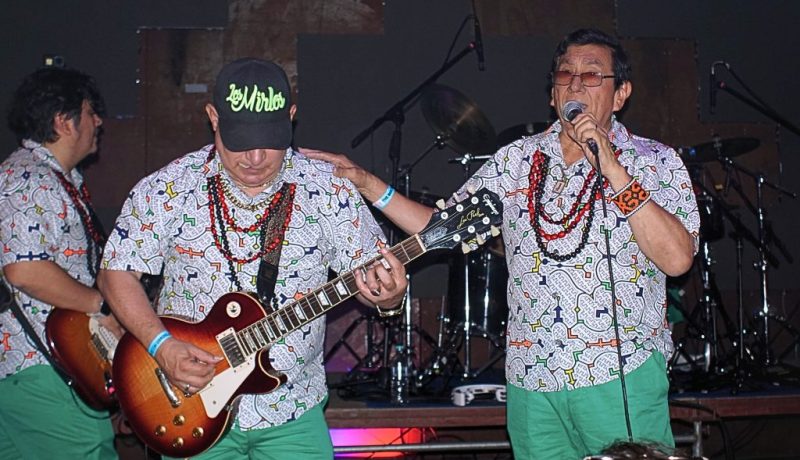 Los mirlos en Cochabamba