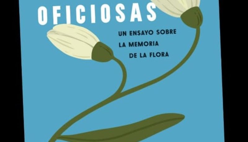 Sumario plamtas libro