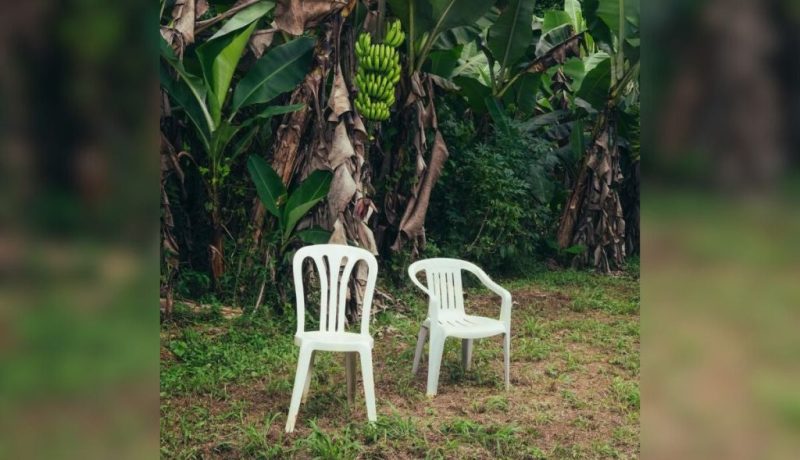 Disco Bad Bunny Debi tirar más fotos