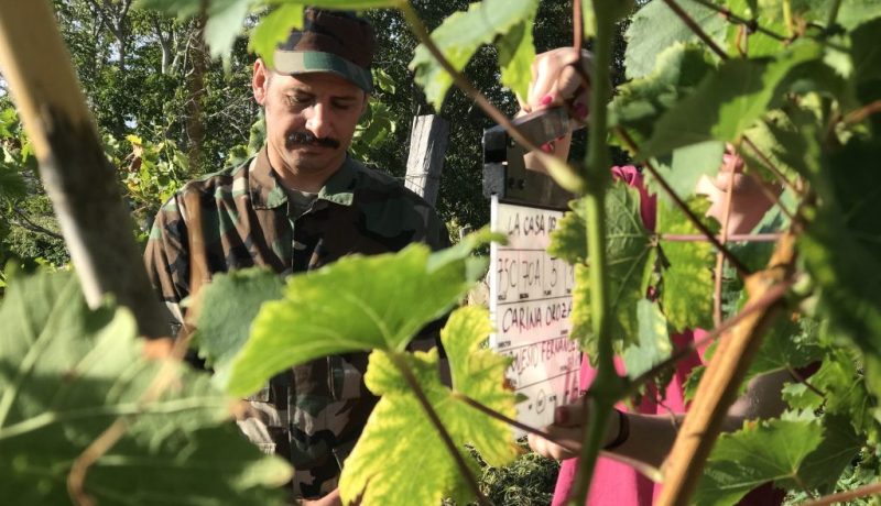 La casa del sur cristian mercado