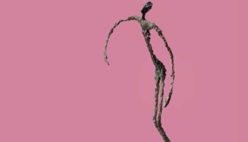 Tapa Lentitud libro Vilma Tapia