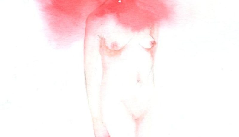 libro desandar Terrazas