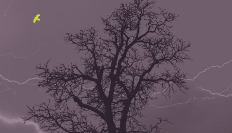 Triptico Tifon poemario tapa