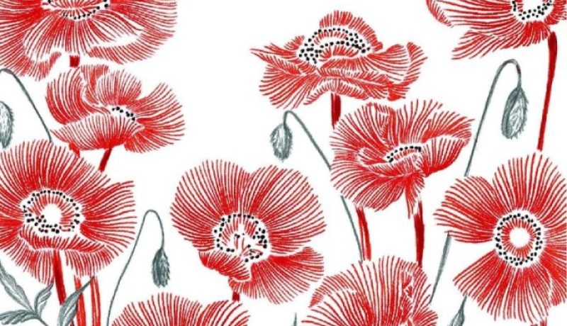 Portada libro Avril Pol