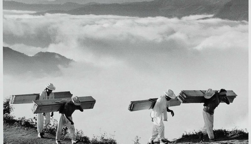 salgado_sebastiao Sierra Madre