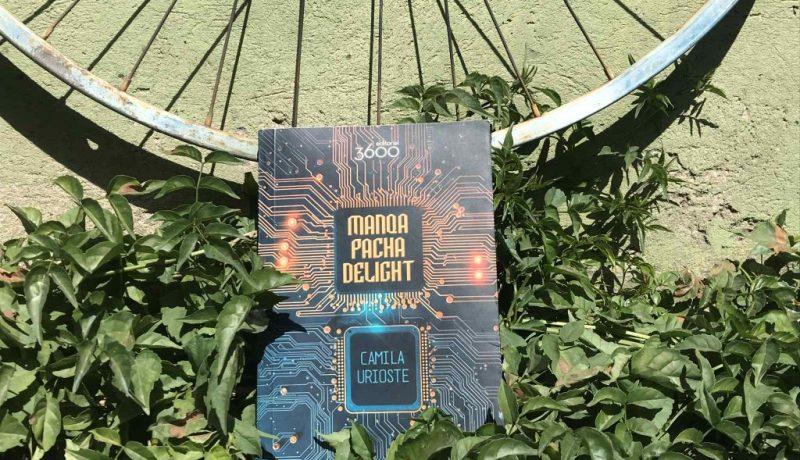 Manqapacha Delight libro