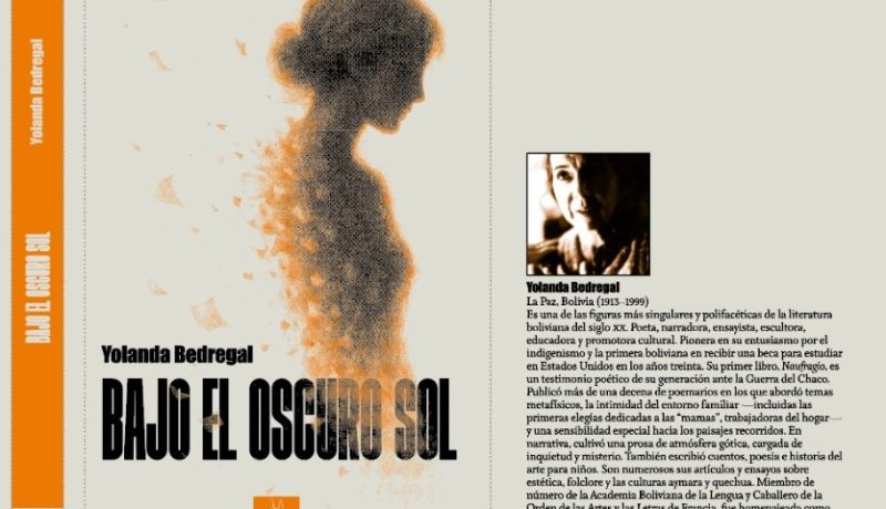 Tapa Bajo el oscuro sol