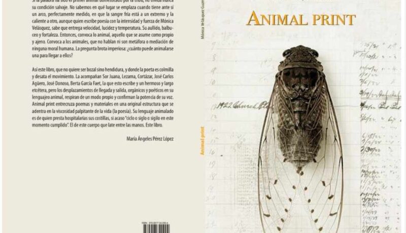 Animal Print libro