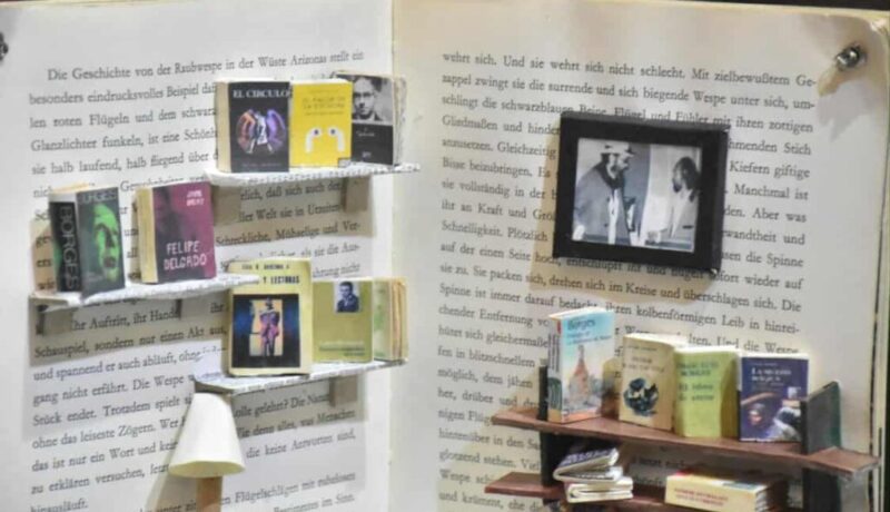 Cachin libro y miniaturas foto 2