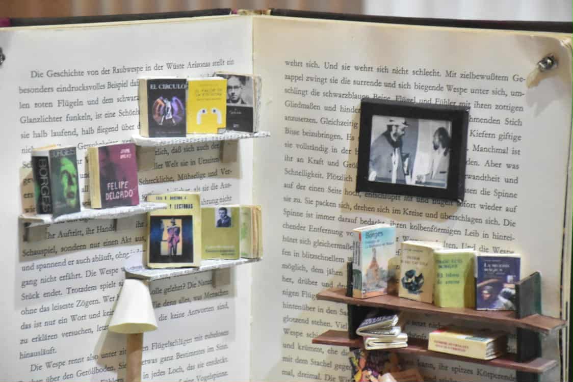 Cachin libro y miniaturas foto 2